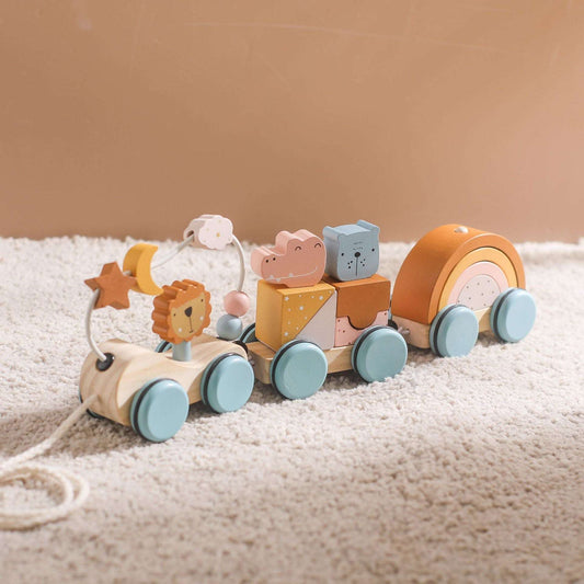 Montessori Wooden Train