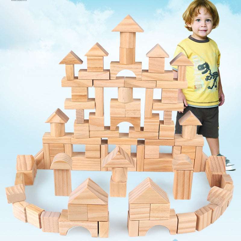 Montessori Wooden Blocks 100 pc