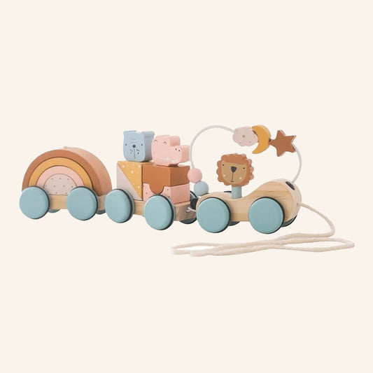 Montessori Wooden Train